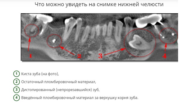 Screenshot_1.jpg